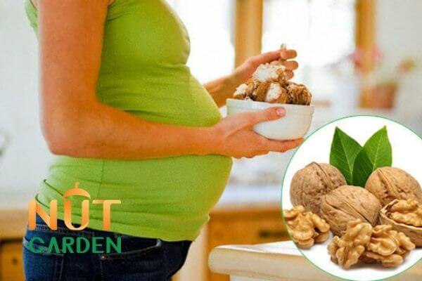 Hạt óc chó giúp cải thiện hệ miễn dịch ở bà bầu Hạt óc chó giúp cải thiện hệ miễn dịch ở bà bầu