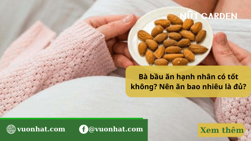 Hạt hạnh nhân có tác dụng gì cho bà bầu? Nên ăn khi nào?