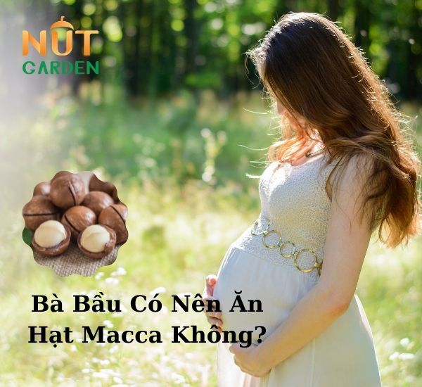Bà bầu có nên ăn hạt macca không? Bà bầu có nên ăn hạt macca không?
