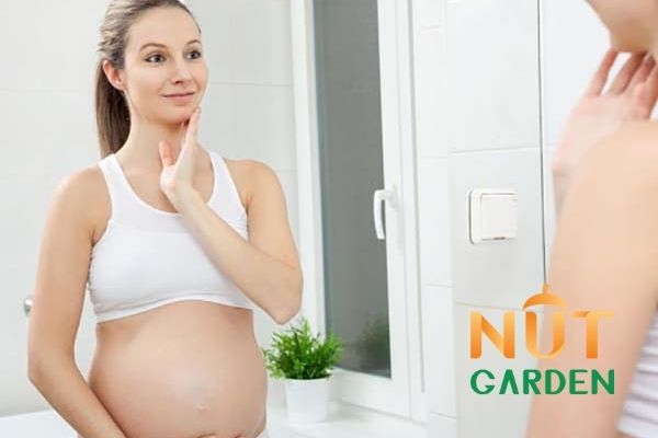 Ăn hạt macca giúp dưỡng da, đẹp da cho bà bầu Ăn hạt macca giúp dưỡng da, đẹp da cho bà bầu