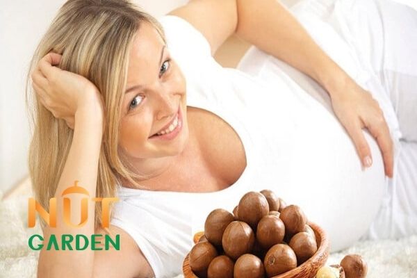 Ăn hạt macca giúp bổ sung thêm hàm lượng sắt cho mẹ bầu Ăn hạt macca giúp bổ sung thêm hàm lượng sắt cho mẹ bầu