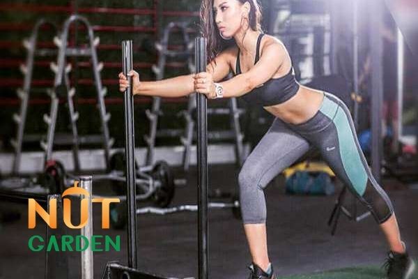 Hạt macca được cho là hạt vàng đối với gymer