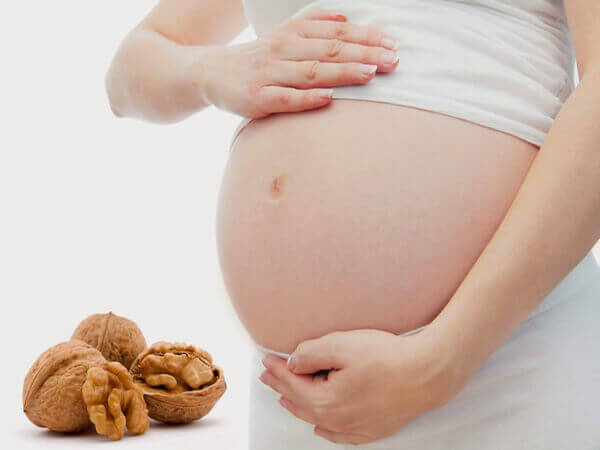 Hạt óc chó đỏ có nhiều tác dụng tốt cho bà bầu Hạt óc chó đỏ có nhiều tác dụng tốt cho bà bầu