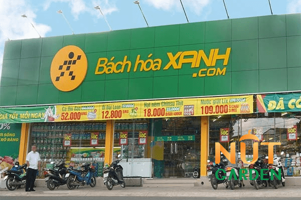 mua hạt hạnh nhân ở siêu thị