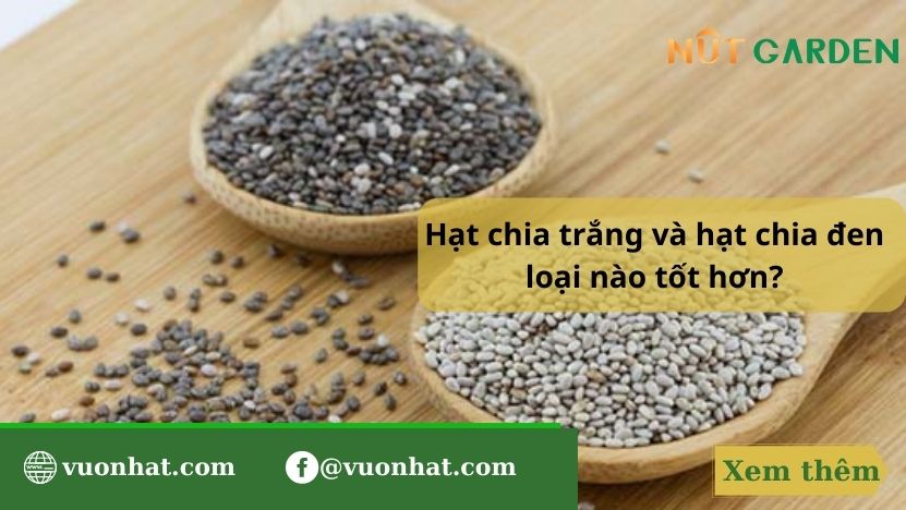 Hạt chia trắng có tác dụng gì cho sức khỏe?
