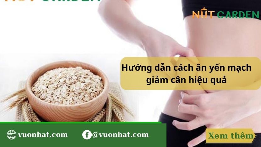 Yến mạch giảm cân: Thực đơn 6 cách giảm cân với yến mạch