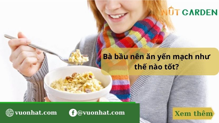 Yến mạch cho bà bầu có tốt không? Cách ăn cho mẹ bầu