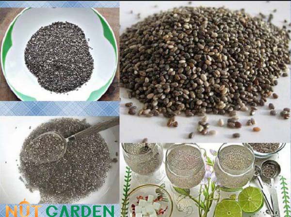 Cách sử dụng hạt chia cho mẹ bầu Cách sử dụng hạt chia cho mẹ bầu