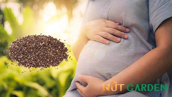 Hạt chia có tốt cho bà bầu không Hạt chia có tốt cho bà bầu không