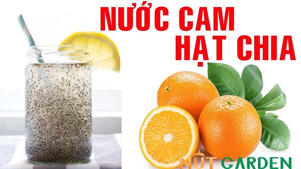 Nước cam hạt chia cho bà bầu Nước cam hạt chia cho bà bầu
