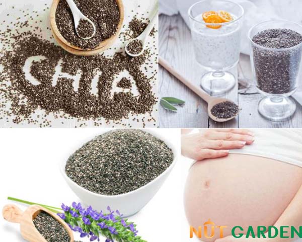 Tác dụng của hạt chia với bà bầu Tác dụng của hạt chia với bà bầu