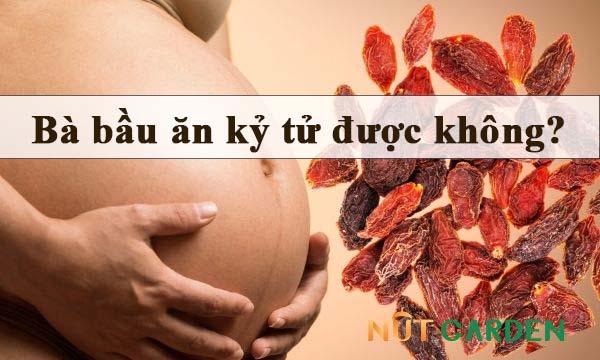 Bà bầu ăn kỷ tử được không?