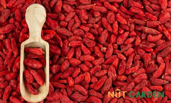 Mua kỷ tử ninh hạ ở đâu