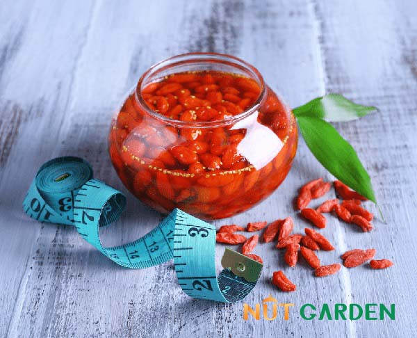 Lưu ý gì khi ngâm rượu kỷ tử