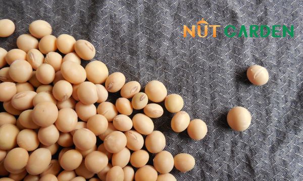Đậu nành organic