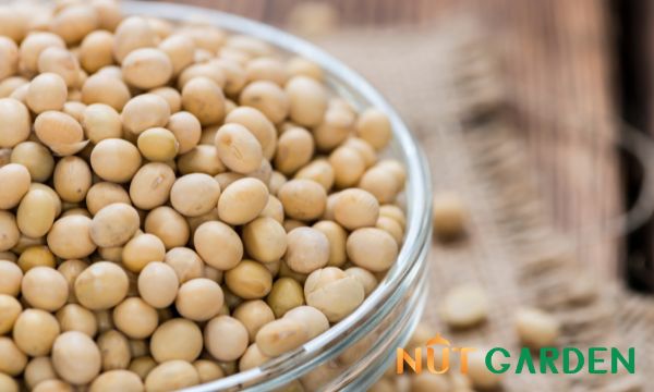 Lưu ý gì khi mua hạt đậu nành organic